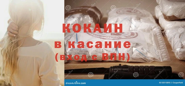 прущие грибы Балахна