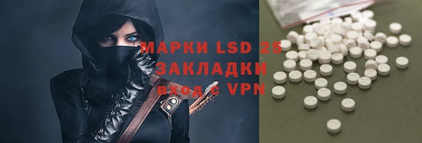 прущие грибы Балахна
