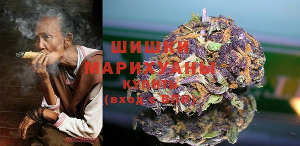 прущие грибы Балахна