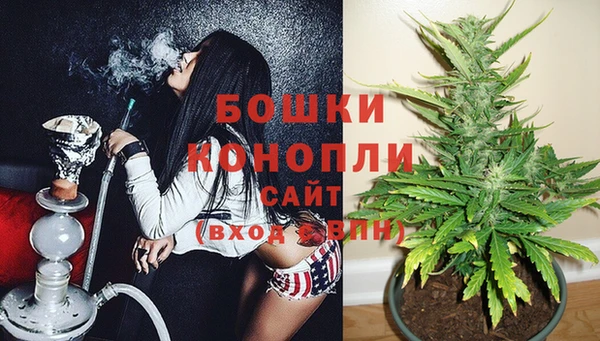 прущие грибы Балахна