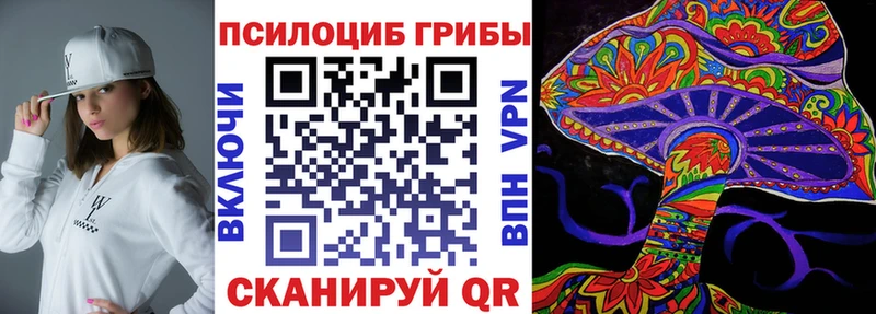 закладка  Новосокольники  Галлюциногенные грибы MAGIC MUSHROOMS 